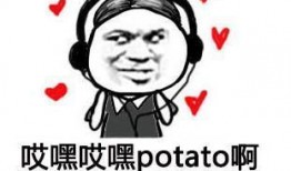 吃瓜的抖音歌曲大全集免费听